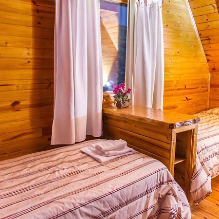 Brillos Patagonicos El Calafate Extérieur photo